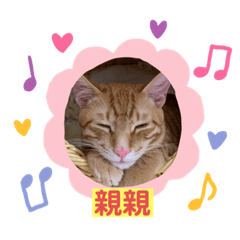 乖乖統治世界2