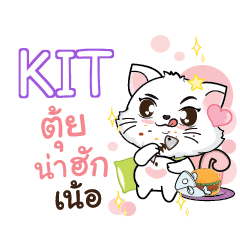 KIT Seenuan cat_N e