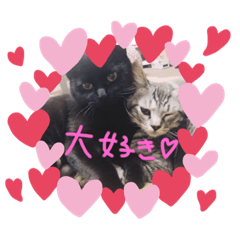 nanami_20190724032257