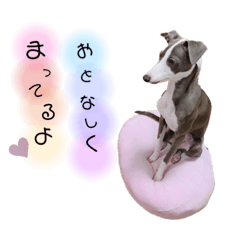 saya_20190724154902