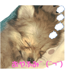 family_20190724150141