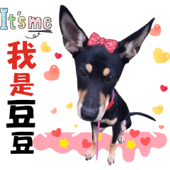 豆 豆 小 公 主