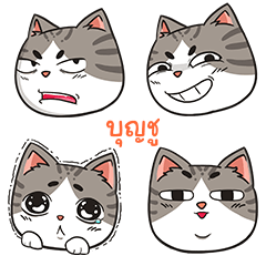 BOONCHU trollcat emoji