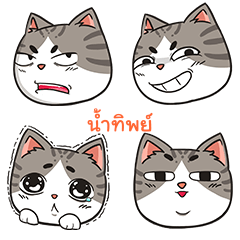 NAMTIP trollcat emoji