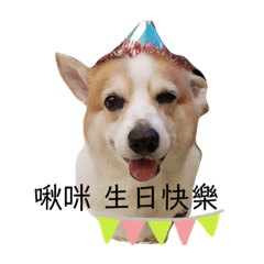 走跳人生の弄爺