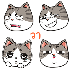 WA trollcat emoji