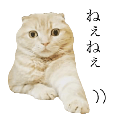 まるおくんスタンプ4