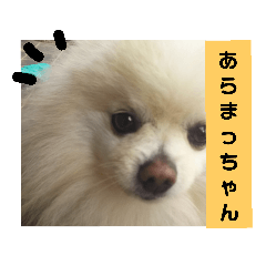 Matsu_20190724203412