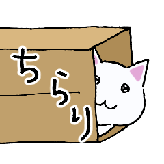 Cute Sticker of a cat in the box