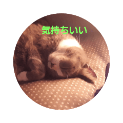 ken_20190724212043