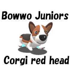 Bowwow Juniors fellow corgi red head