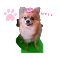 family_20190725125535