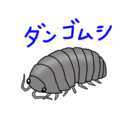 Pretty pill bug