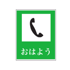 Emergency call information