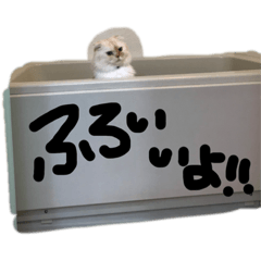 rino_20190724193546