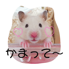 RISA_20190725013622