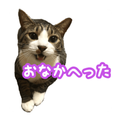 yossy_20190725010342