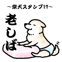 柴犬スタンプ17～老しば～