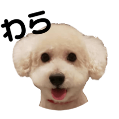 azu_20190725093031
