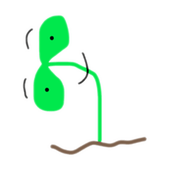 mizuki_20190725131708