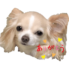 rinrin_20190725150954