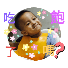 四寶們