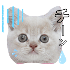 CHIHARU_20190725182156