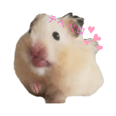 キンクマのジュネと長毛のジナン