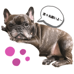 natsumi_20190725183151