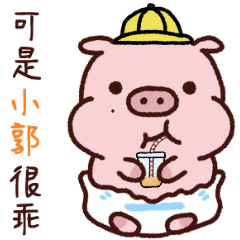 Baby Pig Name-SIAO GUO