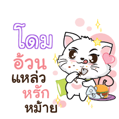 DOME Seenuan cat_S