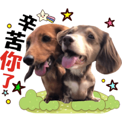 臘腸公主