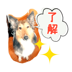 犬写真挨拶スタンプ・ざっくり切り[basic]