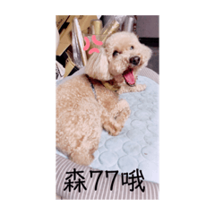 嘎逼逼