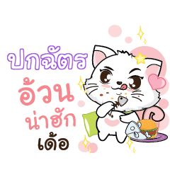 POKCHAT Seenuan cat_E