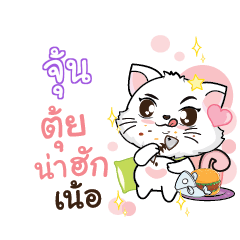 JUN3 Seenuan cat_N