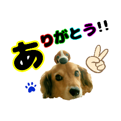 Pon_20190720195755