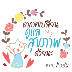 KAOTOM Happy Everyday 2