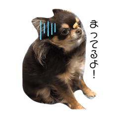 unimal honobono