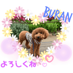 sally_20190725221139