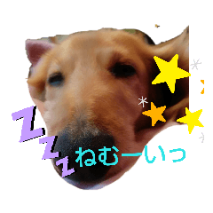 mako_20190726013845
