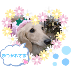 sally_20190726024424