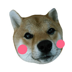 kyon_20190726010536