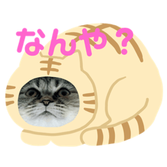 yuta_20190726104453