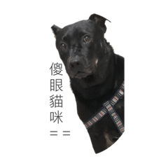 你好我是米克斯薯條