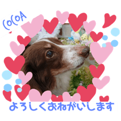 sally_20190726170805