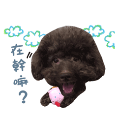Cash最可愛