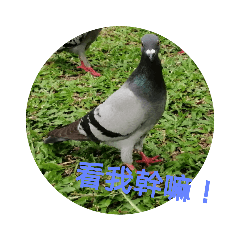 動物們～❤️