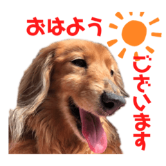 peace_20190726193432