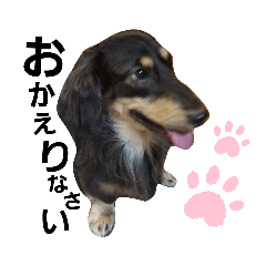 chan_20190726202847